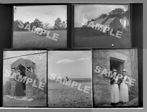 46 Shotley Golf Club Glass B&W Negative Slides With Box England Antique 1800's - Picture 1 of 16