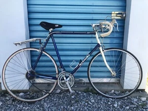 Nishiki Sport Road Bike- Vintage 700c- 63cm Cromoly Frame-12 Speed - Picture 1 of 22