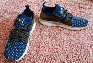 puma ignite evoknit blue