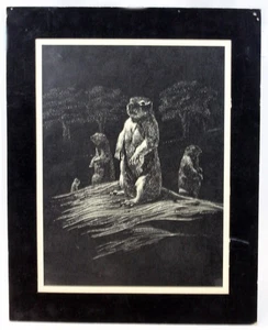 George Kountoupis Scratchboard Print Groundhogs Signed Prairie Dogs 10.5" x 8" - Picture 1 of 4