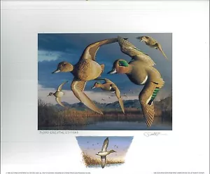 CALIFORNIA #28 1998 STATE DUCK PRINT Robert Steiner, Color Remarque #75/250 - Picture 1 of 2