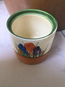 Clariss cliff Crocus - Picture 1 of 3