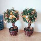 2 petits arbres de Noël pour décorations