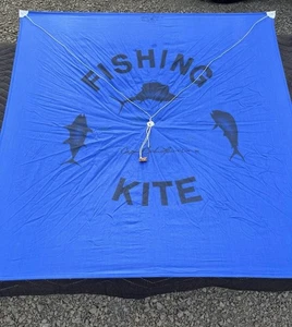 Lewis Fishing Kite Heavy Wind with Case Made In USA - Picture 1 of 4