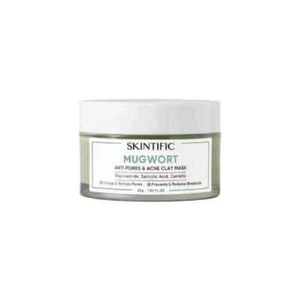 Neu SKINTIFIC Beifuß Maske Anti Poren & Akne Ton Maske - Bild 1 von 8