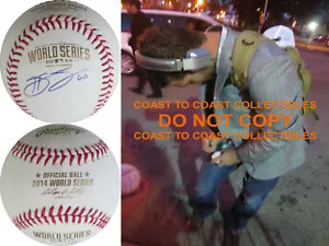 Hunter Strickland San Francisco Giants signiert 2014 World Series Baseball PP - Bild 1 von 2