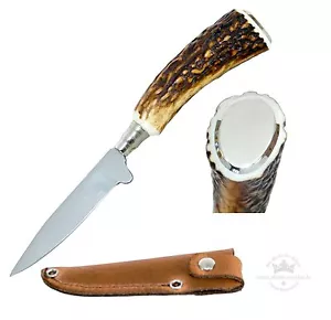 Trachtenmesser Jagdnicker mit Hirschhorn-Griff 75er - Bild 1 von 4