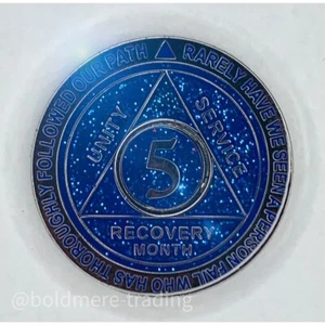 5 Monate Anonyme Alkoholiker Medaillon blau versilbert AA Nüchternheit Chip Münze - Bild 1 von 6