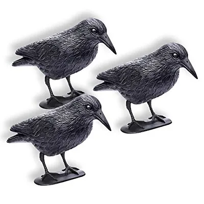 Schramm® 3 Pièces Corbeaux Assis Peur Des Pigeons Noirs Peur Des Oiseaux Corb... • 42.24€