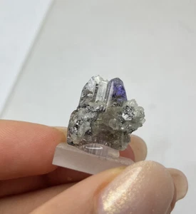 TANSANIT Matrix Stufe (3.4gr) Roh Tanzanite Crystal rough - Picture 1 of 5