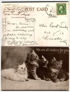 1915 Kittens Wedding Note Postcard Blue Hill Webster Co. NE Sepia Photo Nebraska - Picture 1 of 1