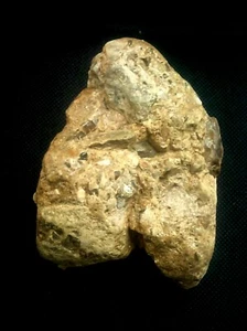 "Olduwan", Homo habilis. Unterpaläolithikum Figur. 417gr' - 15oz.  Rift Valley - Bild 1 von 12