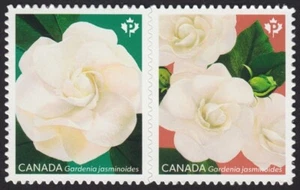 Canada 2019 MNH - GARDENIA flowers - V2 Die Cut pair from Booklet - Picture 1 of 1