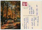 58150 - Jesienny las - pocztówka, przebiegła 29.10.1981