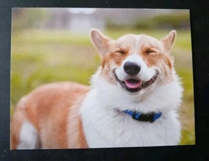 Funny Friendship Card ~ Notions ~ Smaller Card 5" x 4" - Picture 1 of 4