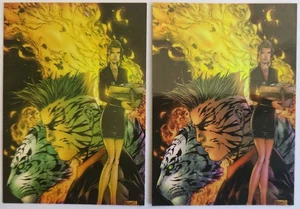 2000 Top Cow DF Witchblade Millennium Chrome Trading Card C3 Foil Comic Turner - Picture 1 of 2