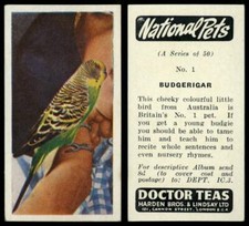 Budgerigar #1 National Pets 1961 Doctor Teas Card