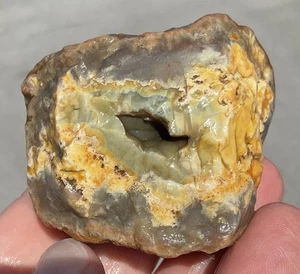 156g Kentucky Achat Geode Rough Estill County Green Botryoidal Chalcedon - Bild 1 von 16