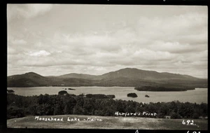 EARLY 1900s POSTCARD FILM NEGATIVE, "MOOSEHEAD LAKE, HARFORD'S POINT #692". - Picture 1 of 1