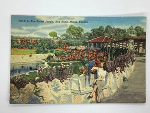 Postcard Parrot Jungle Red Road Pretty Lady Blue Parrot Miami Florida FL H359 - Foto 1 di 2