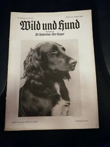 Wild und Hund - Nr. 42 - Berlin 19. Oktober 1934 - Top-Beilage "Im Herbstwald" - Bild 1 von 2
