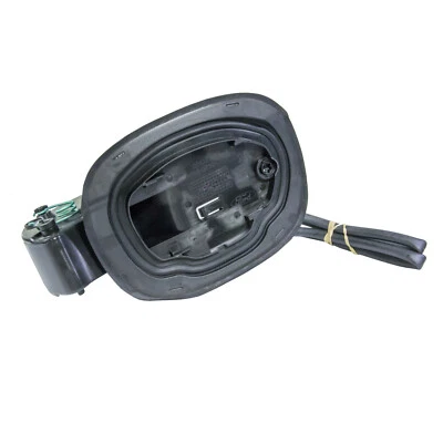 Carcasa de llenado de combustible panel cuarto Ford Edge 2011-2019 OEM NUEVA Foto 1 de 4