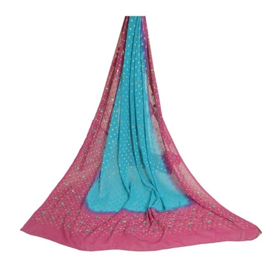 Sanskriti Vintage Largo Púrpura/Azul Dupatta/Estola Pura Georgette Seda Cuentas a Mano Foto 1 de 4