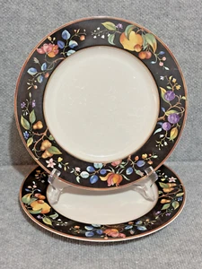 MIKASA Maxima CAM17 Autumn Grove Fine China 2 Dinner Plates Vintage - Picture 1 of 3