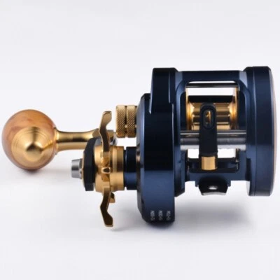 300 Series Round Baitcasting Reel 10+1 BBs Wooden Grip Inshore Saltwater Fishing - Изображение 1 из 4