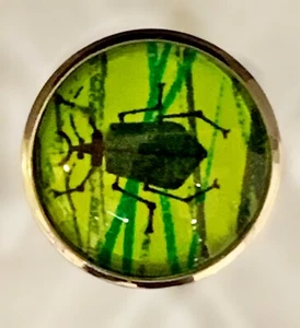 Charley Harper Beetle Bug Insect 1" Glass Sewing Button CH763 - Picture 1 of 2