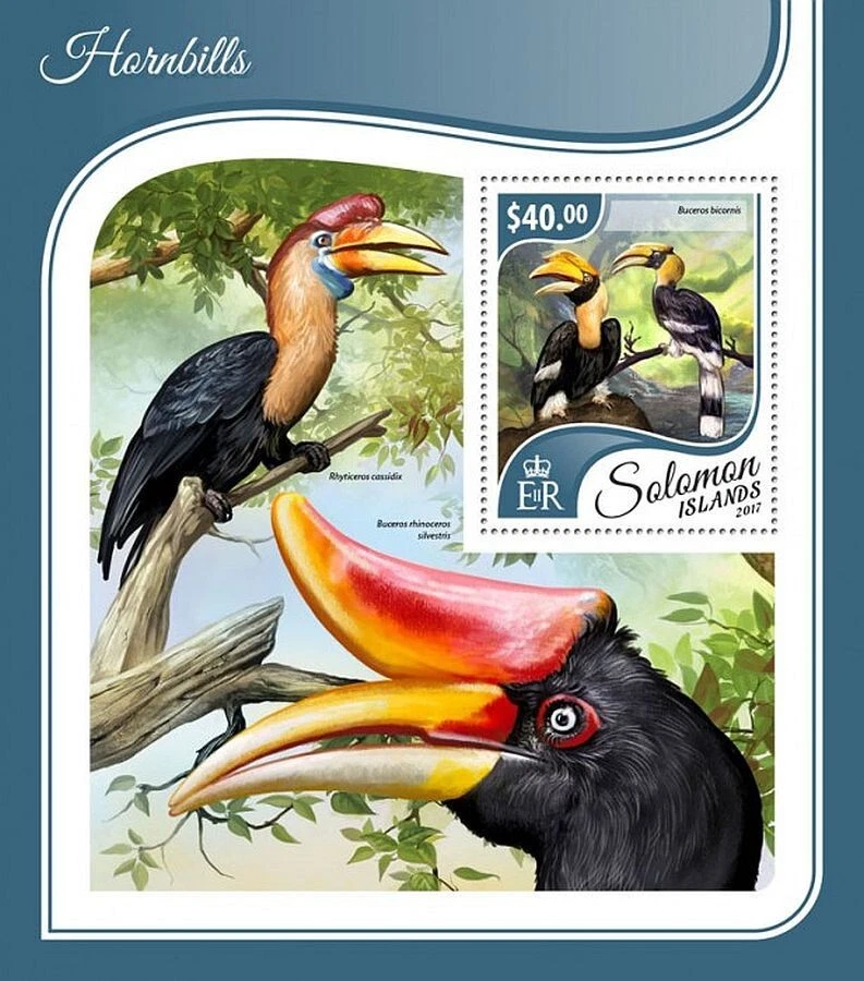 Hoja de sello HORNBILLS Birds/Bird MNH 1v #1757 (2017 Islas Salomón) Foto 1 de 1