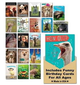 Wildly Funny - Made In USA - 20 Assorted Cards with Envelopes All Occasion, B... - Picture 1 of 9