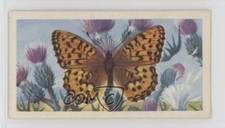 1963 Brooke Bond British Butterflies Tea Dark Green Fritillary #13 0y5