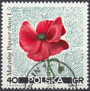 Polen gestempelt Blume Pflanze Klatschmohn Mohn Mohnblume Natur Flora / 772 - Bild 1 von 1