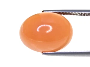 10.17CTS Orange brown natural moonstone oval cabochon cut loose gemstones - Picture 1 of 2