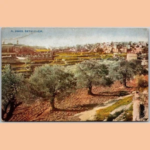 Postal Belén Palestina vista panorámica Photochrom Co. - Imagen 1 de 4