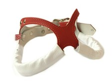 buddy belt collar