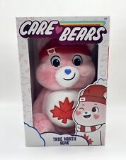 Care Bears True North Bear 14" Plush Stuffed Toy Canada New NIB Maple Leaf
