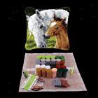 Animal Pattern Pillow Latch Hook Rug with Starter Tool for