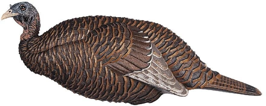 Flextone Thunder Chick Breeder Decoys, FLX-FLXDY331 Hunting - Decoys - Image 1 of 1