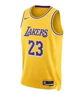 Camiseta deportiva Nike Los Angeles Lakers LeBron James Icon Edition #23 Swingman - Imagen 1 de 8