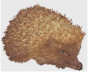 Patrón de punto de cruz de Florashell - Erizo - Imagen 1 de 1