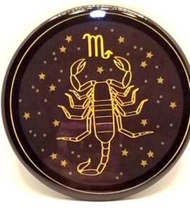 3,5 Zoll Kühlschrankmagnet Skorpion - Bild 1 von 2