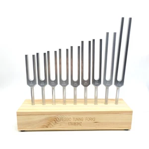 9x Solfeggio Tuning Forks Voice Box Silicon Hammer DNA Healing Sound Therapy - Picture 1 of 14