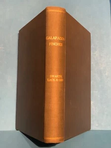 GALAPAGOS FINCHES  by Swarth, 1929  First Edition fourth series    m976 - Bild 1 von 6
