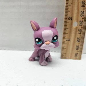 Littlest Pet Shop #2229 BOSTON TERRIER Purple Dog Blue Eyes - AUTHENTIC LPS - Picture 1 of 6