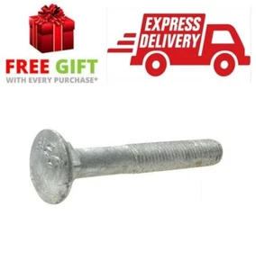 Pack Size 10 Galvanised Cup Coach Head M16 (16mm) x 100mm Metric Coarse Bolt - Picture 1 of 7