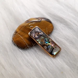 Spell Pendant Black Magic Shell Pendant Mind Control Your Destiny Powerful 14x - Picture 1 of 2