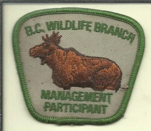 B.C. Wildlife Branch Management (Elch) Patch - Bild 1 von 2