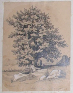 Alpes Maritimes. Bords de La Cagne (Lower - Alps) Gustave de la Moussaye. 1841 - Picture 1 of 2
